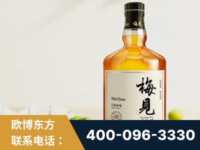 汕尾-梅见青梅酒
